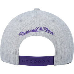Toronto Raptors Hardwood Classics 2.0 Snapback Hat - Heather Gray | Mitchell & Ness shop