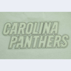 Carolina Panthers Pro Standard Women's Oversized Cropped Neutral Pullover Sweatshirt - Light Green outlet