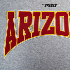 Arizona Cardinals Pro Standard Crest Emblem Pullover Sweatshirt - Heather Gray discount