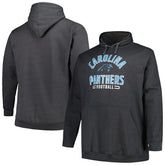 Carolina Panthers Big & Tall Pullover Hoodie - Heather Charcoal discount