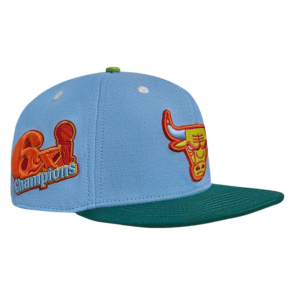 Chicago Bulls Pro Standard Retro Program 2-Tone Snapback Hat - Light Blue/Green discount