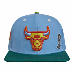 Chicago Bulls Pro Standard Retro Program 2-Tone Snapback Hat - Light Blue/Green discount
