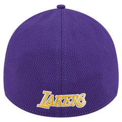 Los Angeles Lakers Two-Tone 39THIRTY Flex Hat - Heather Gray/Purple | New Era for sale