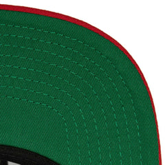 Florida Panthers Mitchell & Ness Core Team Ground 2.0 Snapback Hat Navy
