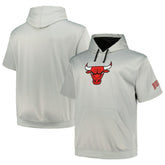 Chicago Bulls Big & Tall Logo Pullover Hoodie - Silver | Fanatics on sale