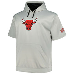Chicago Bulls Big & Tall Logo Pullover Hoodie - Silver | Fanatics on sale