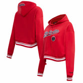 Washington Wizards Pro Standard Women's Script Tail Cropped Pullover Hoodie - Red for sale