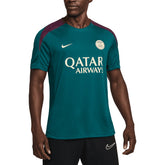 Paris Saint-Germain 2024/25 Strike Performance Top - Teal | Nike discount