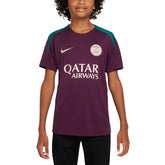 Paris Saint-Germain Youth 2024/25 Strike Training Performance Top - Burgundy | Nike discount