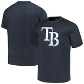 Tampa Bay Rays Profile Big & Tall Weathered Logo T-Shirt - Heather Navy