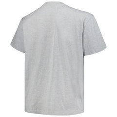 Colorado Avalanche Profile Big & Tall Arch Over Logo T-Shirt Heather Gray