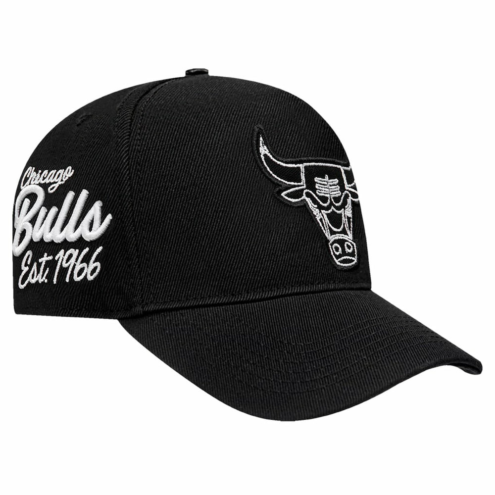 Chicago Bulls Pro Standard Paint the City Pinch Front Snapback Hat - Black cheap