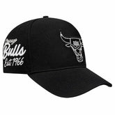 Chicago Bulls Pro Standard Paint the City Pinch Front Snapback Hat - Black cheap