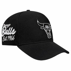 Chicago Bulls Pro Standard Paint the City Pinch Front Snapback Hat - Black cheap