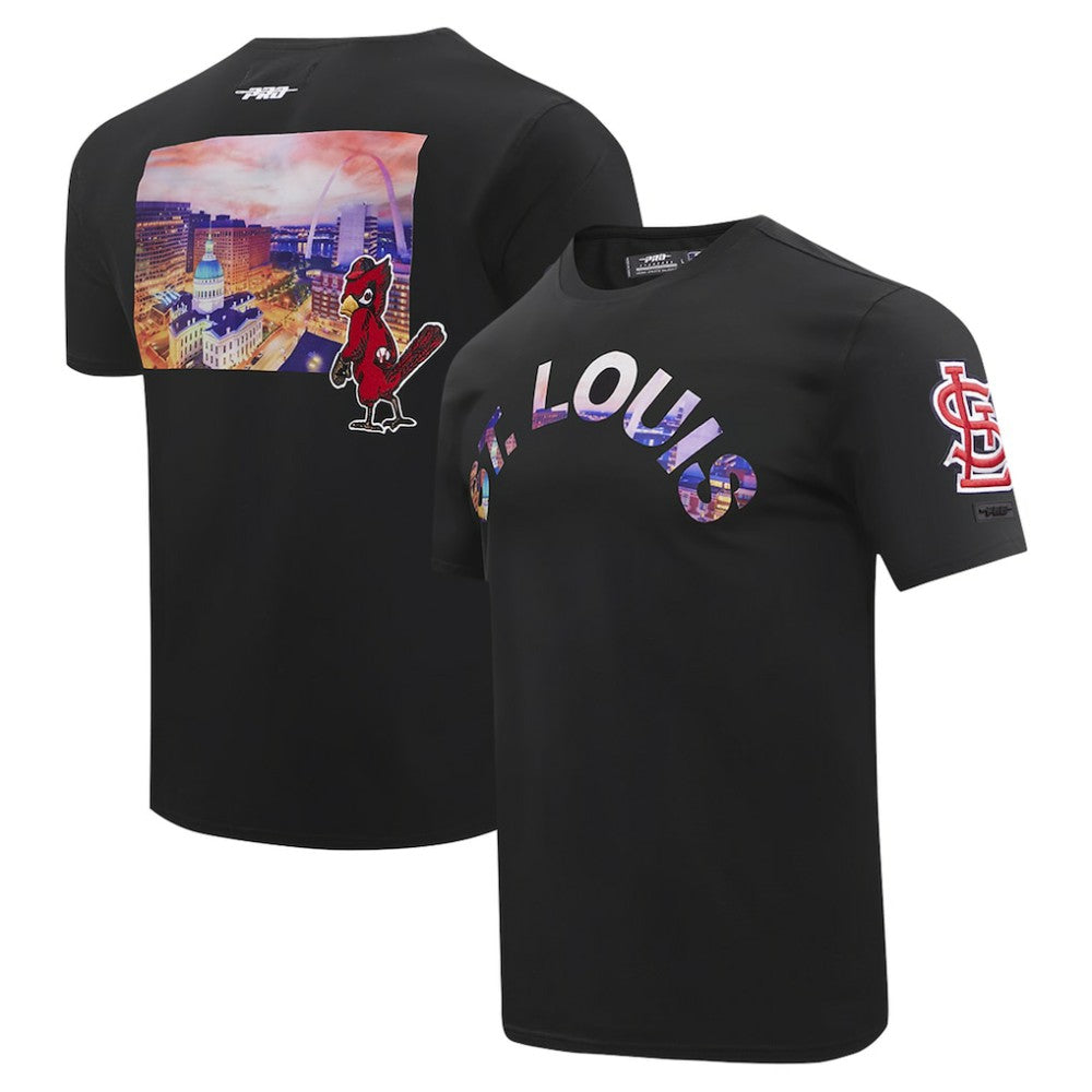 St. Louis Cardinals Pro Standard Cityscape T-Shirt - Black