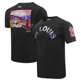 St. Louis Cardinals Pro Standard Cityscape T-Shirt - Black