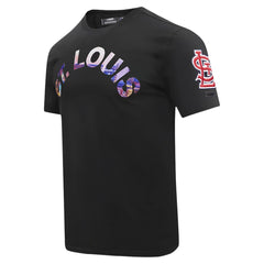 St. Louis Cardinals Pro Standard Cityscape T-Shirt - Black