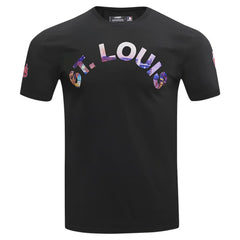 St. Louis Cardinals Pro Standard Cityscape T-Shirt - Black
