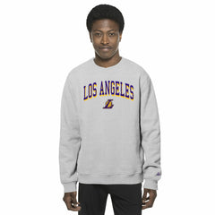 Los Angeles Lakers Chenille Cross Over Pullover Sweatshirt - Gray | New Era online
