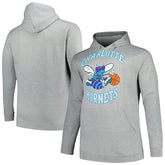 Charlotte Hornets Hardwood Classics Big & Tall Pullover Hoodie - Heather Gray | Mitchell & Ness discount