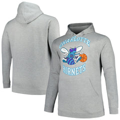 Charlotte Hornets Hardwood Classics Big & Tall Pullover Hoodie - Heather Gray | Mitchell & Ness discount