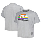 Denver Nuggets Big & Tall Hardwood Classics Vintage Logo T-Shirt sale - Heather Gray | Mitchell & Ness online