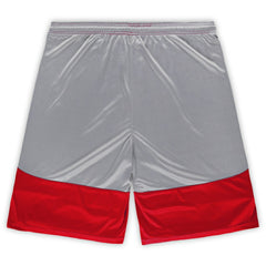 San Francisco 49ers Big & Tall Team Logo Shorts - Scarlet discount