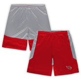Arizona Cardinals Big & Tall Team Logo Shorts - Cardinal sale