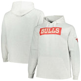 Chicago Bulls Big & Tall Raglan Tri-Blend Pullover Hoodie sale - Ash | Fanatics for sale