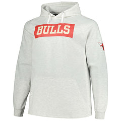 Chicago Bulls Big & Tall Raglan Tri-Blend Pullover Hoodie sale - Ash | Fanatics for sale