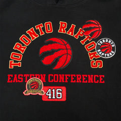 Toronto Raptors Pro Standard Area Code Pullover Hoodie - Black for sale