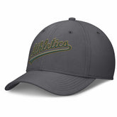 Athletics Swoosh Performance Flex Hat - Gray | Nike