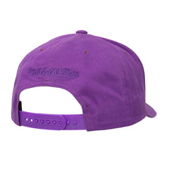 Phoenix Suns Washed Out Tonal Logo Snapback Hat - Purple | Mitchell & Ness online