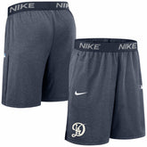 Los Angeles Dodgers Authentic Collection City Connect Performance Knit Shorts - Navy | Nike
