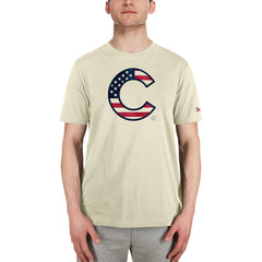 Chicago Cubs Americana Flag Fill T-Shirt - Cream | New Era