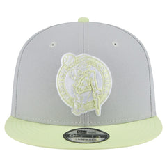 Boston Celtics Color Pack Two-Tone 9FIFTY Snapback Hat - Gray/Light Green | New Era cheap