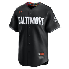 Adley Rutschman Baltimore Orioles City Connect Limited Jersey - Black | Nike