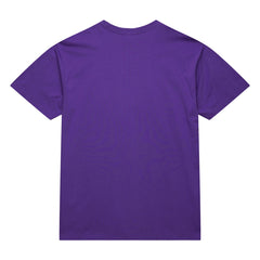 Toronto Raptors Hardwood Classics Neon Nights Premium T-Shirt - Raptors Purple | Mitchell & Ness sale