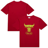 Chicago Bulls Hardwood Classics Neon Nights Premium T-Shirt sale - Red | Mitchell & Ness outlet