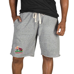 Arizona Cardinals Concepts Sport Mainstream Tri-Blend Shorts - Gray cheap