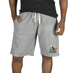 Houston Texans Concepts Sport Mainstream Tri-Blend Shorts - Gray sale