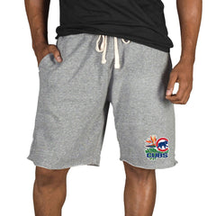 Chicago Cubs Concepts Sport Mainstream Tri-Blend Shorts - Gray