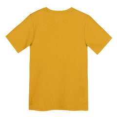 Pittsburgh Steelers Preschool Icon Legend Dri-FIT T-Shirt - Gold | Nike sale