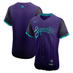 Arizona Diamondbacks 2025 City Connect Elite Jersey - Purple | Nike