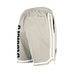 Pittsburgh Steelers New Era Stone Multi Patch Shorts - Light Beige for sale