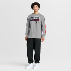 Houston Texans Hometown Sweep Legacy Long Sleeve T-Shirt - Heather Gray sale