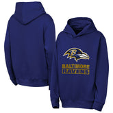 Baltimore Ravens Outerstuff Youth Back to Basics Hoodie - Purple cheap