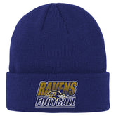 Baltimore Ravens Outerstuff Youth Team Gradient Cuffed Knit Hat - Purple cheap