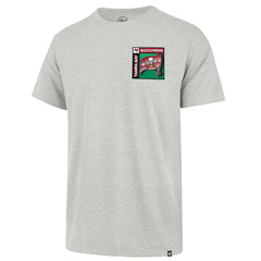 Tampa Bay Buccaneers '47 Chrome Plate Franklin T-Shirt - Gray for sale