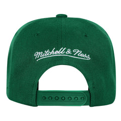 Boston Celtics Youth Anniversary Duo Front Snapback Hat - Kelly Green | Mitchell & Ness outlet